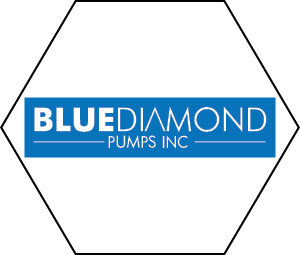 Blue Diamond Pumps